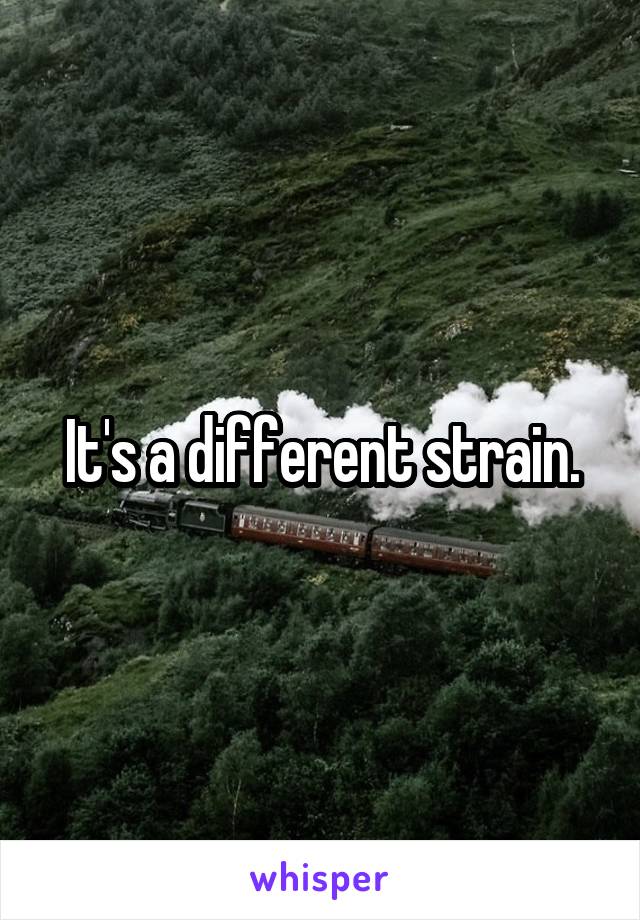 It's a different strain.