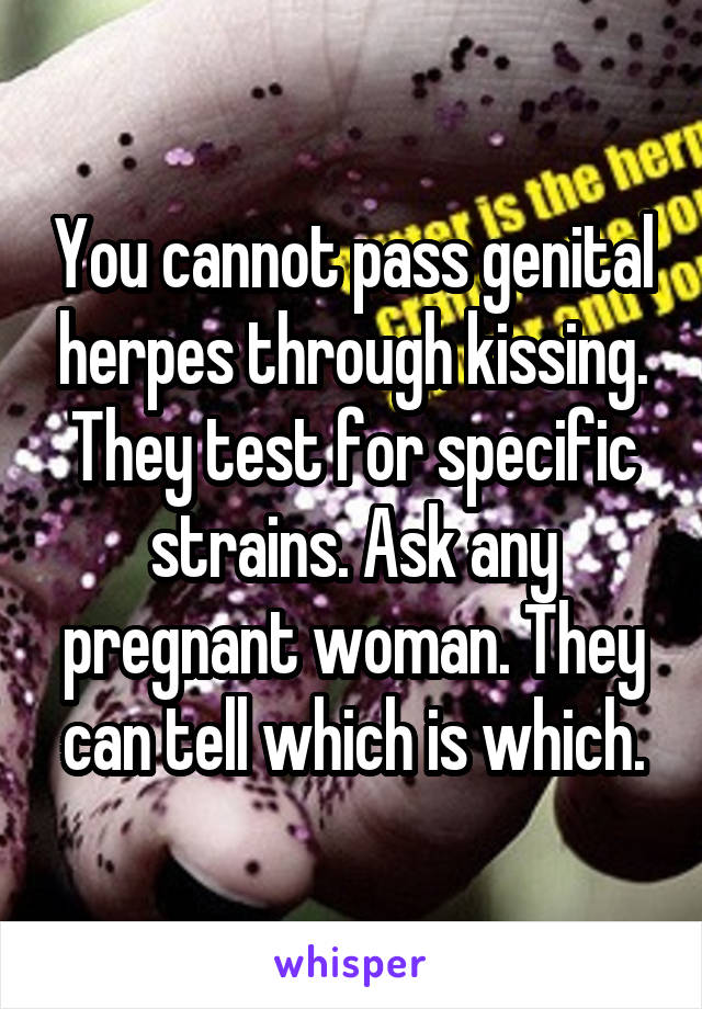 You cannot pass genital herpes through kissing. They test for specific strains. Ask any pregnant woman. They can tell which is which.