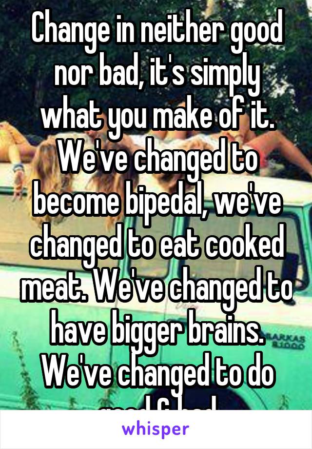 Change in neither good nor bad, it's simply what you make of it. We've changed to become bipedal, we've changed to eat cooked meat. We've changed to have bigger brains. We've changed to do good & bad