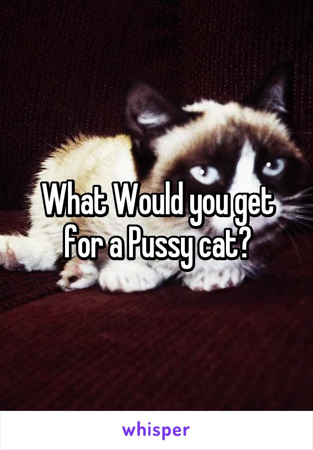 What Would you get for a Pussy cat?