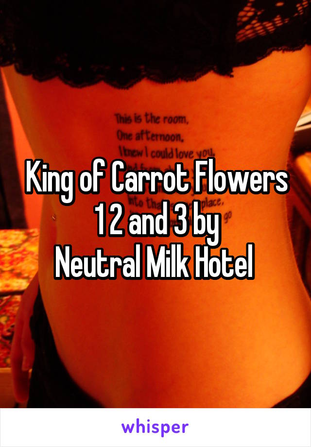 King of Carrot Flowers 1 2 and 3 by
Neutral Milk Hotel 