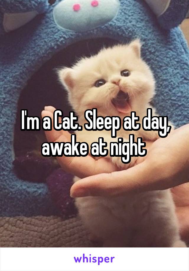 I'm a Cat. Sleep at day, awake at night 