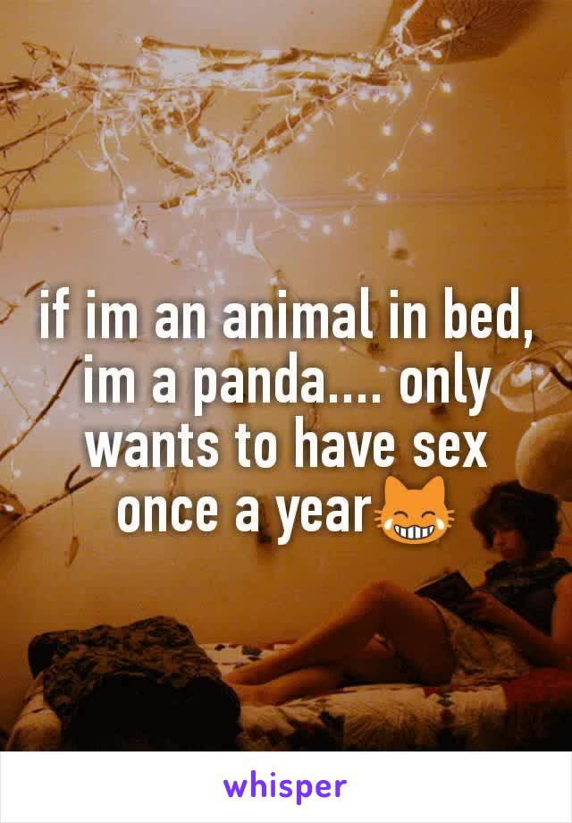 if im an animal in bed, im a panda.... only wants to have sex once a year😹