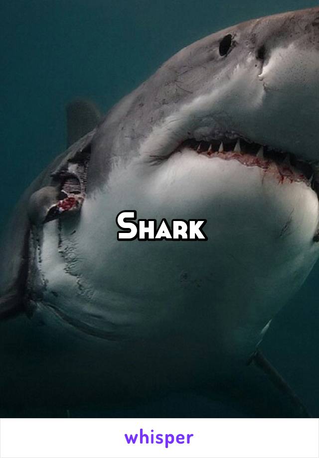 Shark