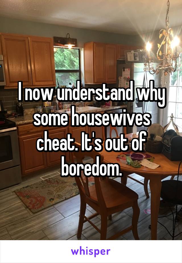 I now understand why some housewives cheat. It's out of boredom.
