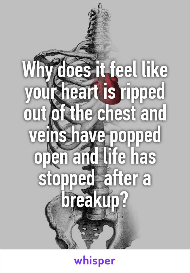 Why does it feel like your heart is ripped out of the chest and veins have popped open and life has stopped  after a breakup?