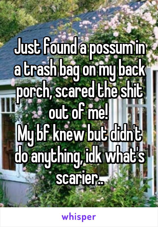 Just found a possum in a trash bag on my back porch, scared the shit out of me! 
My bf knew but didn't do anything, idk what's scarier..