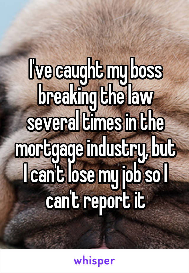 I've caught my boss breaking the law several times in the mortgage industry, but I can't lose my job so I can't report it