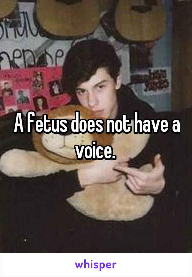 A fetus does not have a voice. 