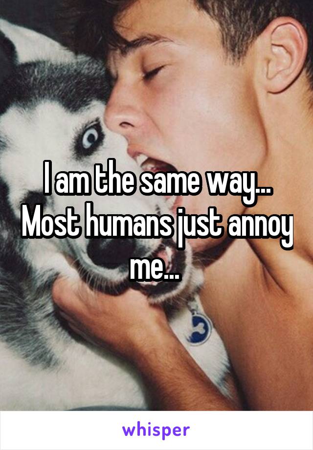 I am the same way... Most humans just annoy me... 
