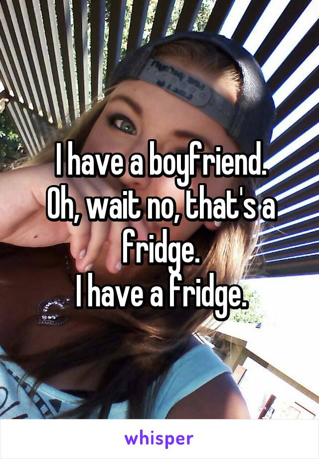 I have a boyfriend.
Oh, wait no, that's a fridge.
I have a fridge.