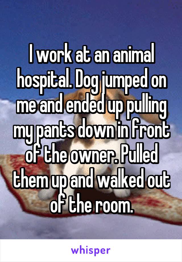 I work at an animal hospital. Dog jumped on me and ended up pulling my pants down in front of the owner. Pulled them up and walked out of the room.