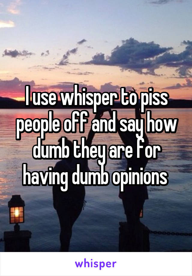 I use whisper to piss people off and say how dumb they are for having dumb opinions 