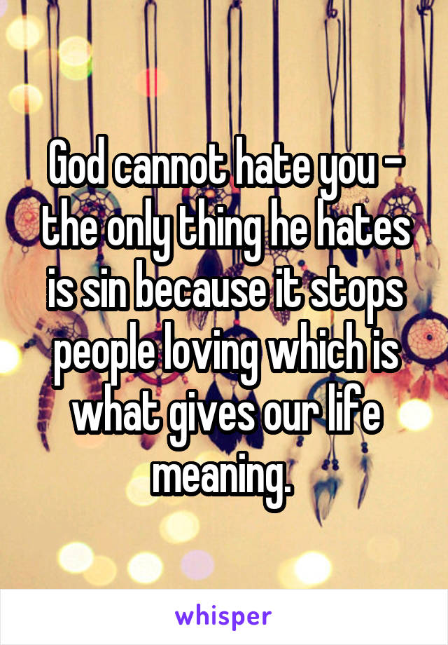 God cannot hate you - the only thing he hates is sin because it stops people loving which is what gives our life meaning. 
