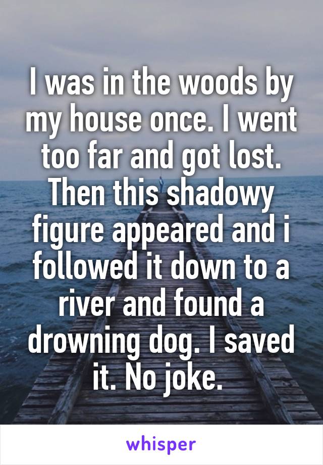 I was in the woods by my house once. I went too far and got lost. Then this shadowy figure appeared and i followed it down to a river and found a drowning dog. I saved it. No joke. 