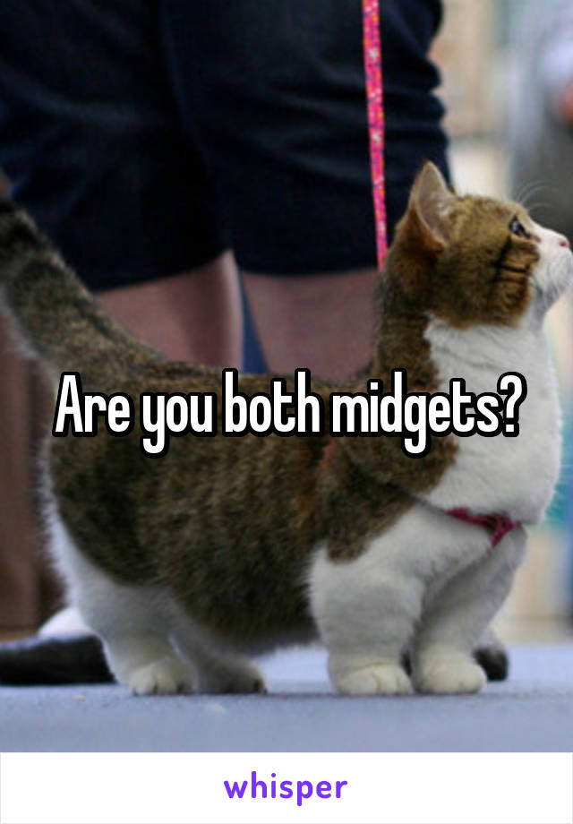 Are you both midgets?