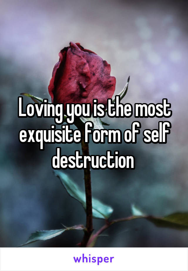Loving you is the most exquisite form of self destruction 