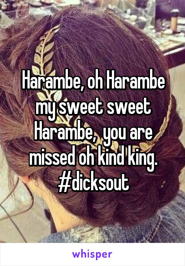 Harambe, oh Harambe my sweet sweet Harambe,  you are missed oh kind king.
#dicksout