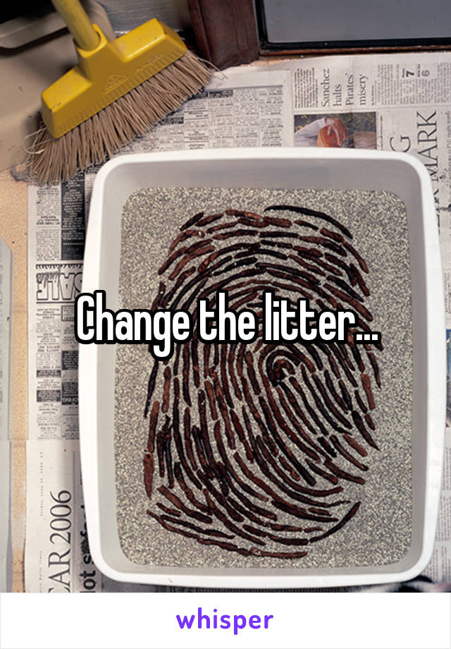 Change the litter...