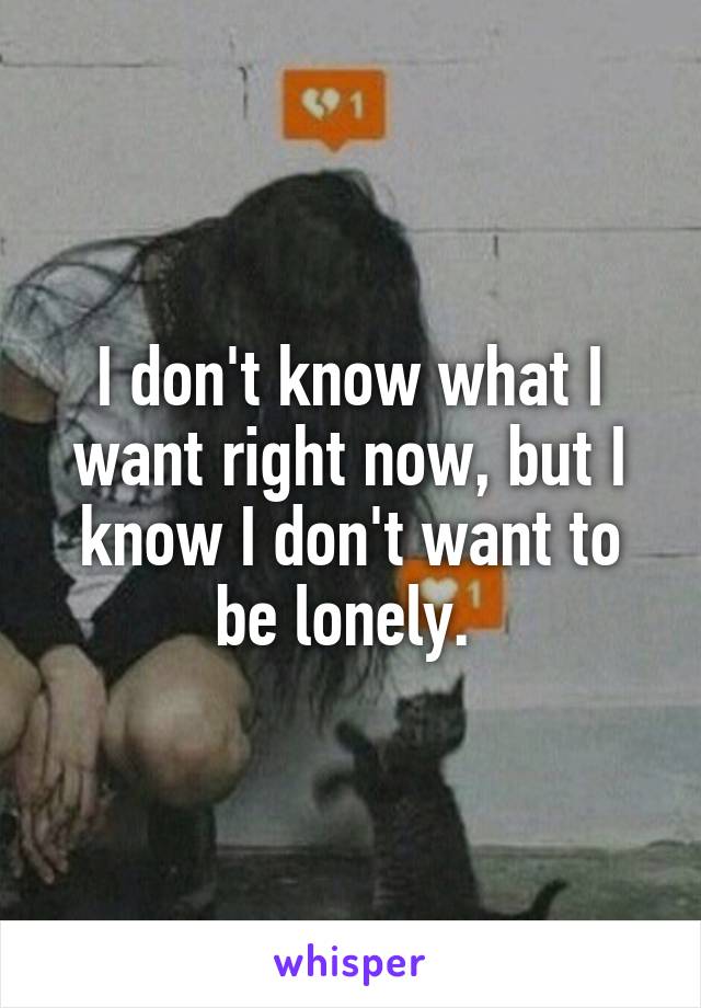 I don't know what I want right now, but I know I don't want to be lonely. 