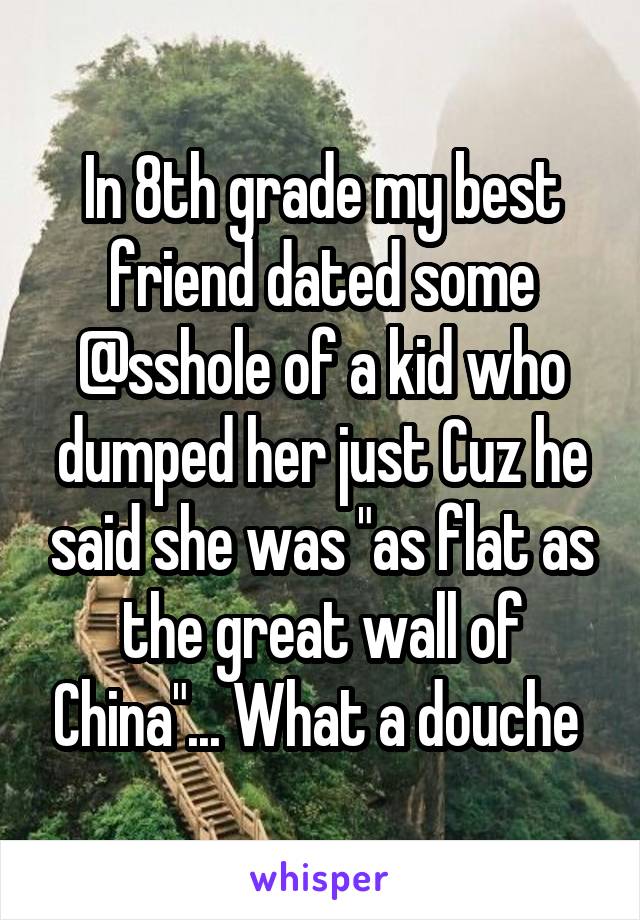 In 8th grade my best friend dated some @sshole of a kid who dumped her just Cuz he said she was "as flat as the great wall of China"... What a douche 
