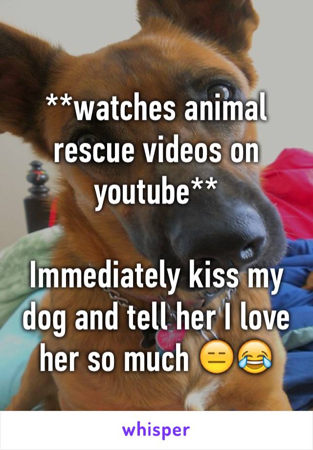 **watches animal rescue videos on youtube**

Immediately kiss my dog and tell her I love her so much 😑😂