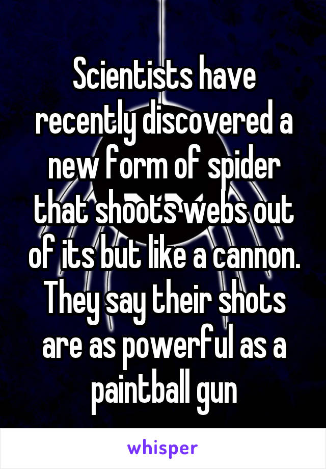 Scientists have recently discovered a new form of spider that shoots webs out of its but like a cannon. They say their shots are as powerful as a paintball gun