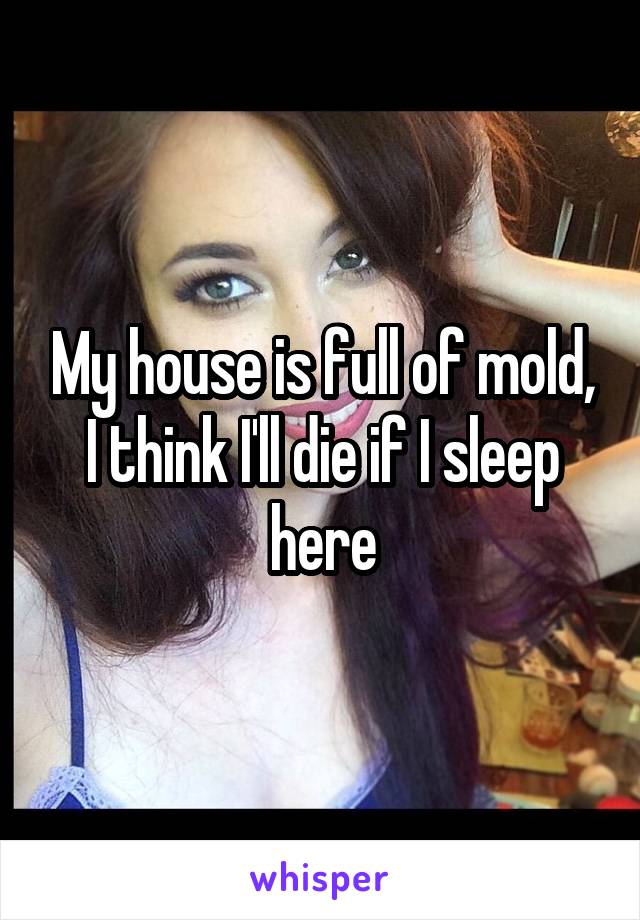 My house is full of mold, I think I'll die if I sleep here
