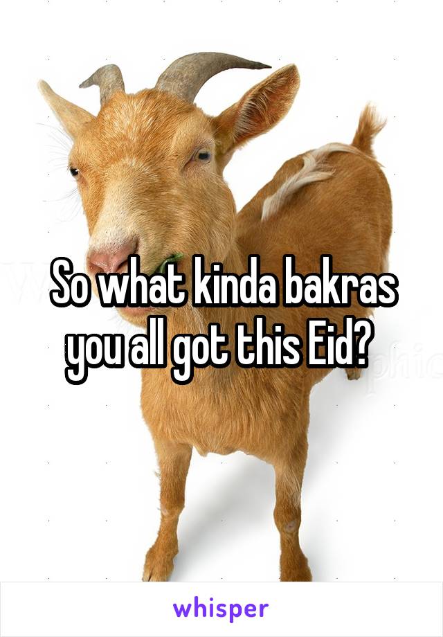 So what kinda bakras you all got this Eid? 