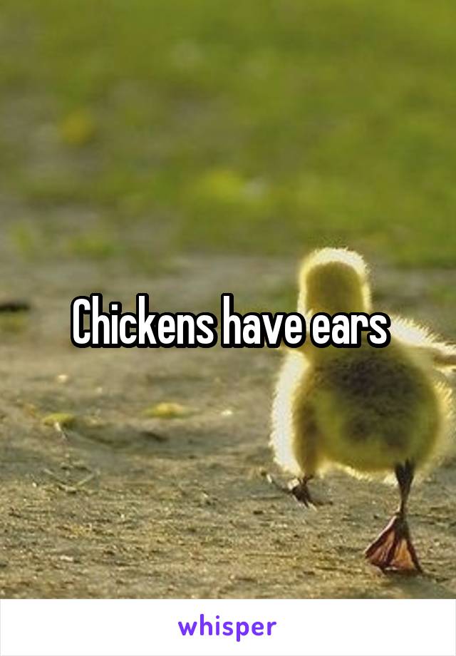 Chickens have ears