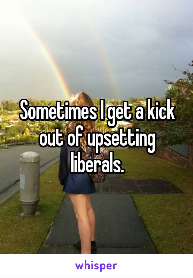 Sometimes I get a kick out of upsetting liberals.