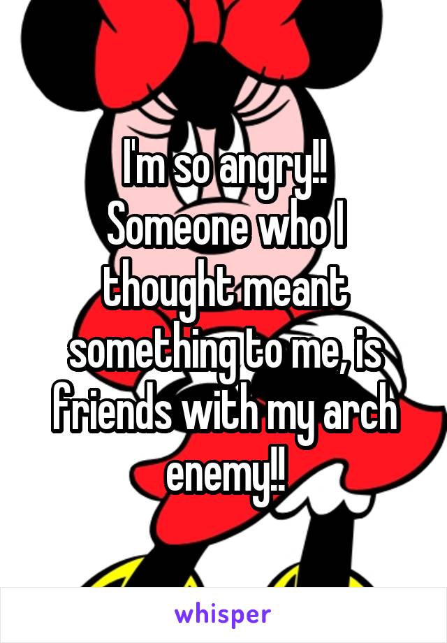 I'm so angry!!
Someone who I thought meant something to me, is friends with my arch enemy!!