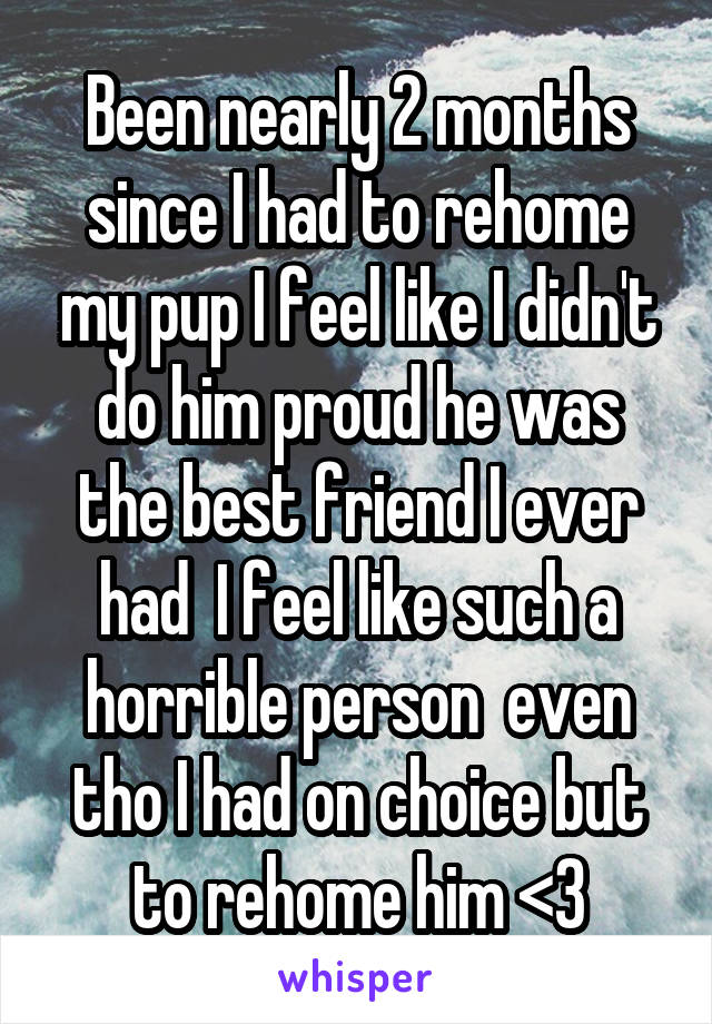 Been nearly 2 months since I had to rehome my pup I feel like I didn't do him proud he was the best friend I ever had  I feel like such a horrible person  even tho I had on choice but to rehome him <3
