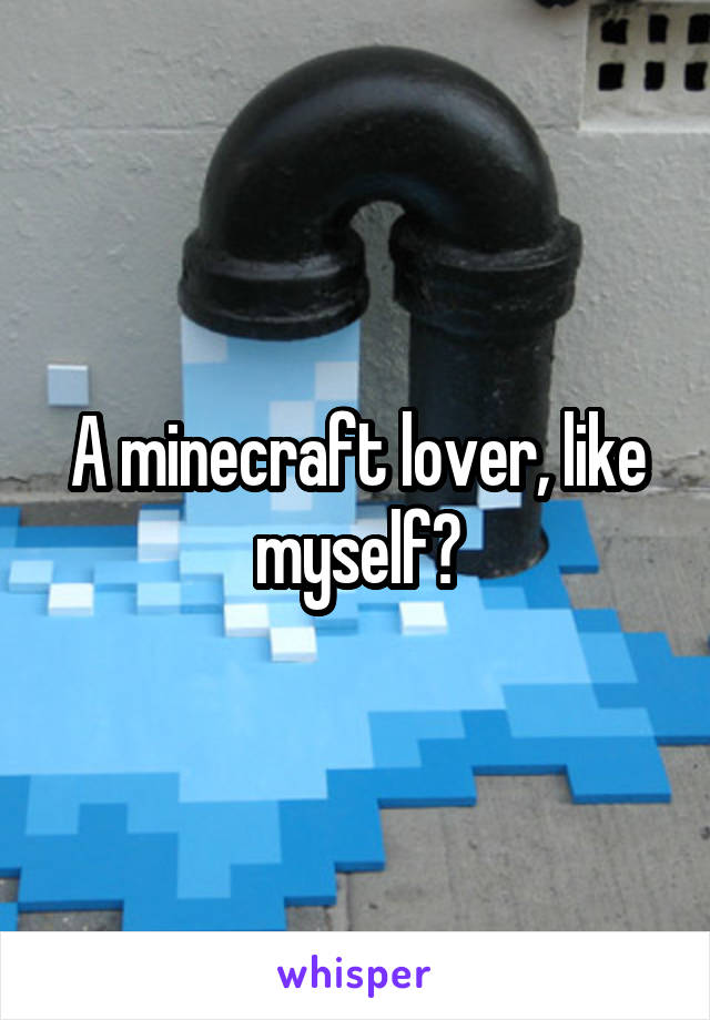 A minecraft lover, like myself?