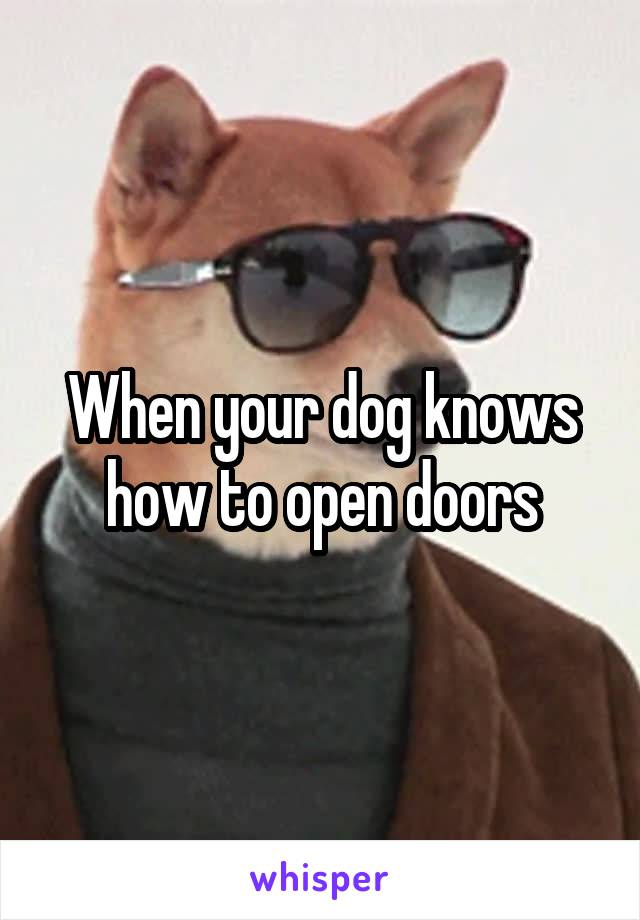 When your dog knows how to open doors