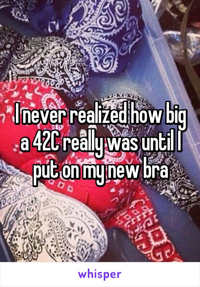 I never realized how big a 42C really was until I put on my new bra