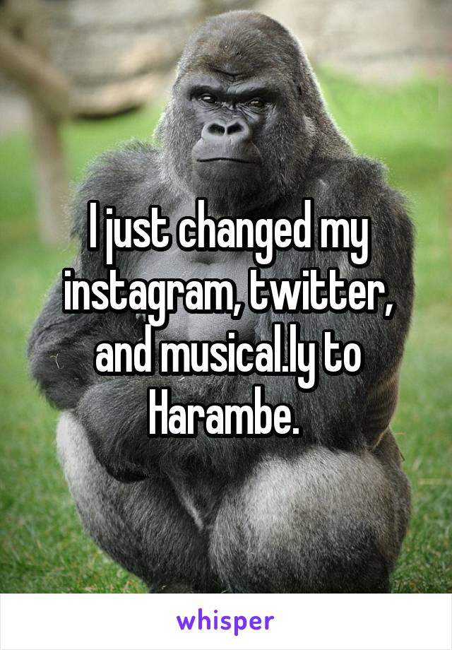 I just changed my instagram, twitter, and musical.ly to Harambe. 