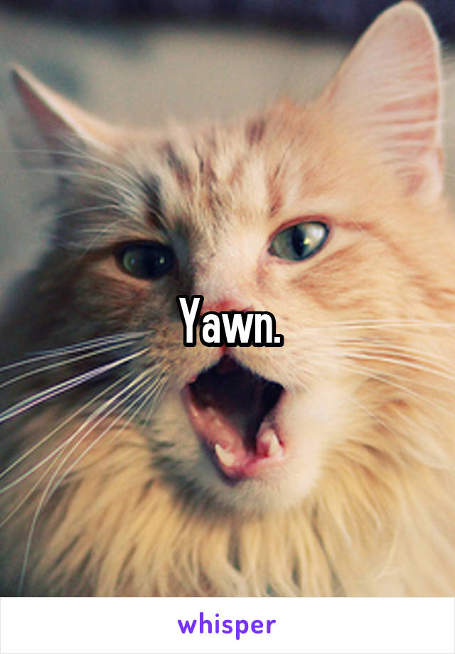 Yawn.