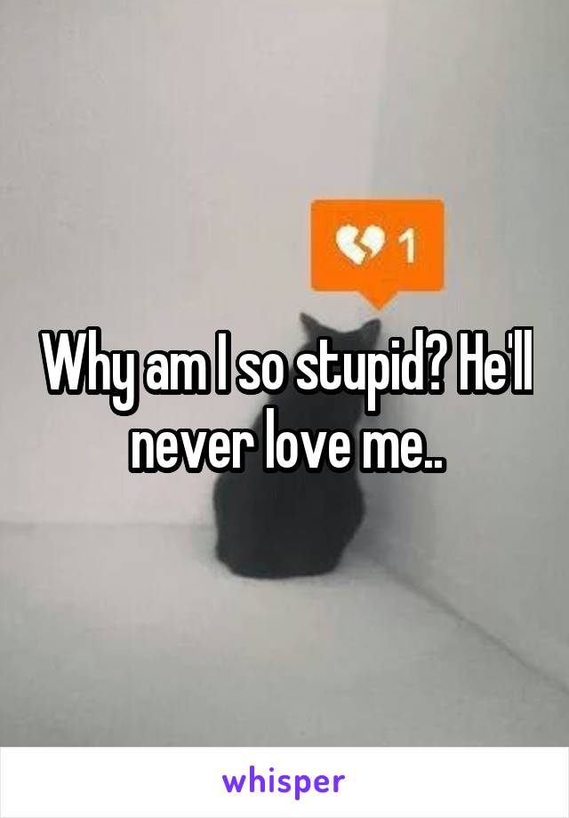 Why am I so stupid? He'll never love me..