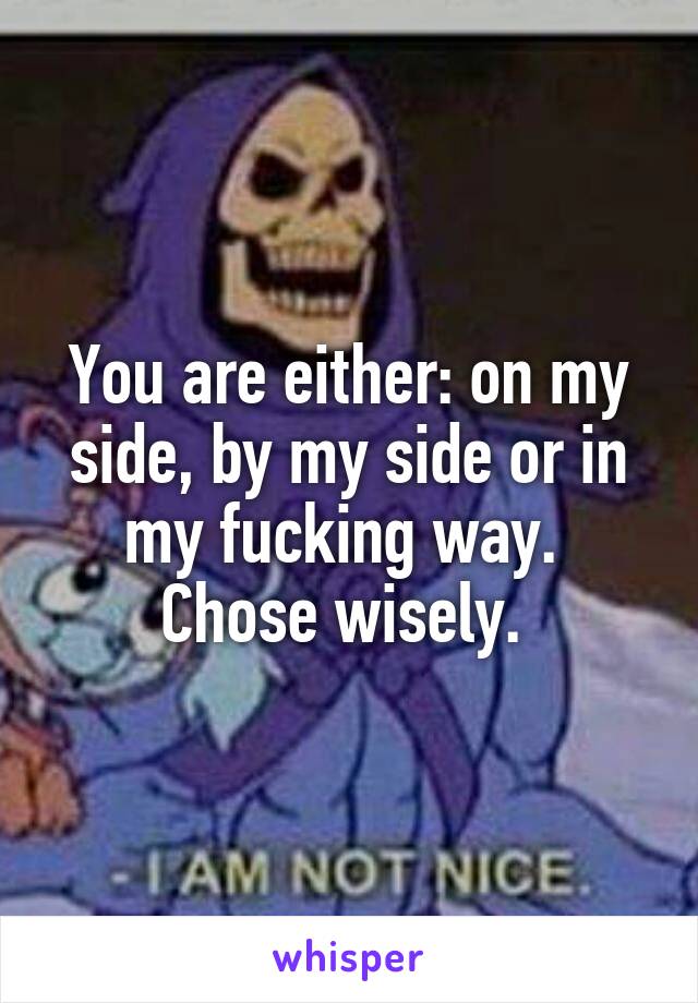 You are either: on my side, by my side or in my fucking way. 
Chose wisely. 
