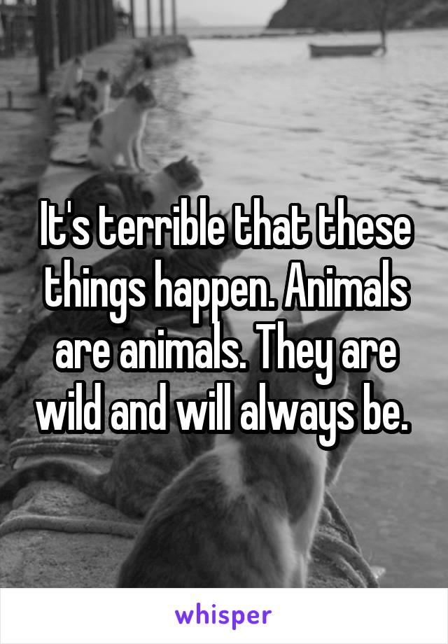 It's terrible that these things happen. Animals are animals. They are wild and will always be. 
