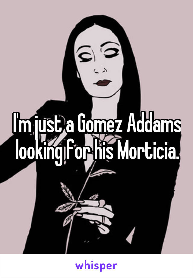 I'm just a Gomez Addams looking for his Morticia.