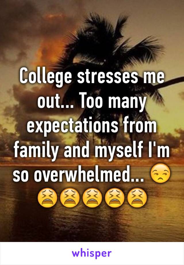 College stresses me out... Too many expectations from family and myself I'm so overwhelmed... 😒😫😫😫😫😫