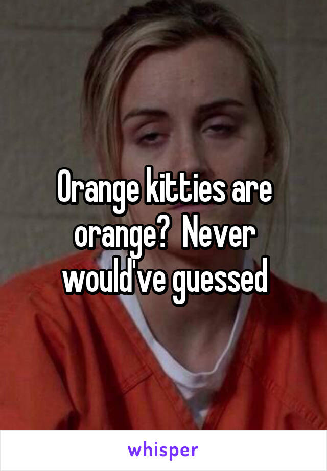 Orange kitties are orange?  Never would've guessed