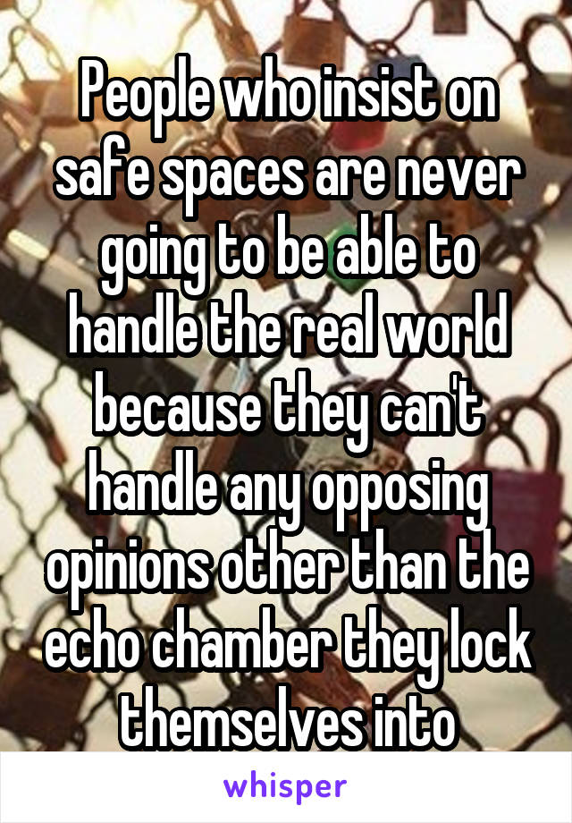 People who insist on safe spaces are never going to be able to handle the real world because they can't handle any opposing opinions other than the echo chamber they lock themselves into