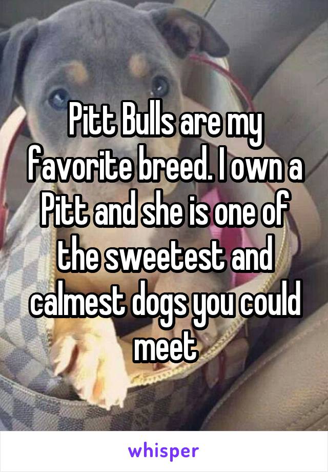 Pitt Bulls are my favorite breed. I own a Pitt and she is one of the sweetest and calmest dogs you could meet