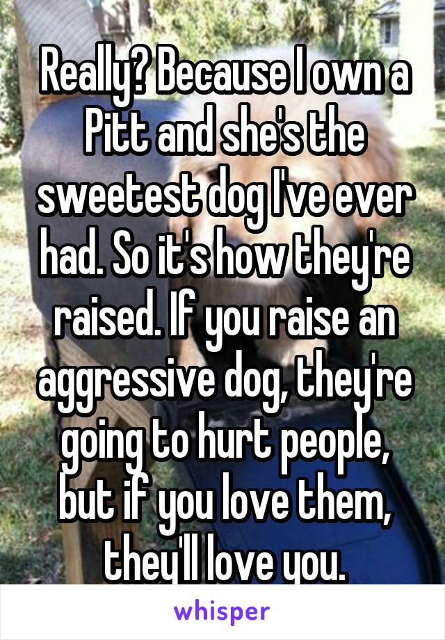 Really? Because I own a Pitt and she's the sweetest dog I've ever had. So it's how they're raised. If you raise an aggressive dog, they're going to hurt people, but if you love them, they'll love you.