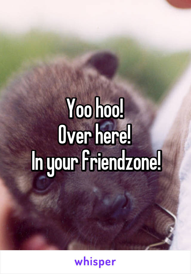 Yoo hoo! 
Over here! 
In your friendzone!