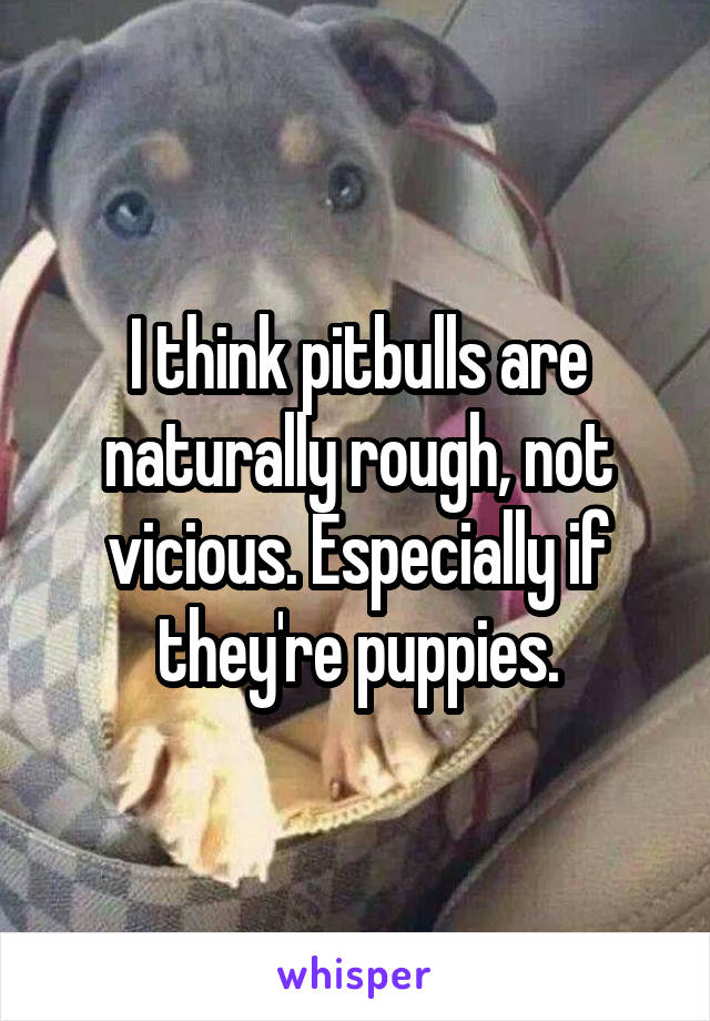 I think pitbulls are naturally rough, not vicious. Especially if they're puppies.