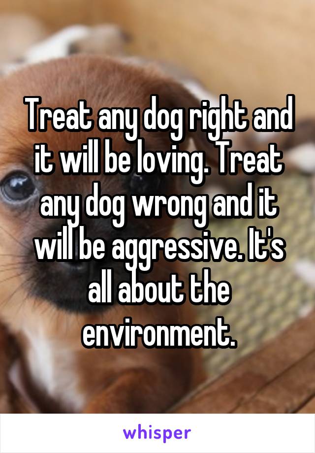 Treat any dog right and it will be loving. Treat any dog wrong and it will be aggressive. It's all about the environment.